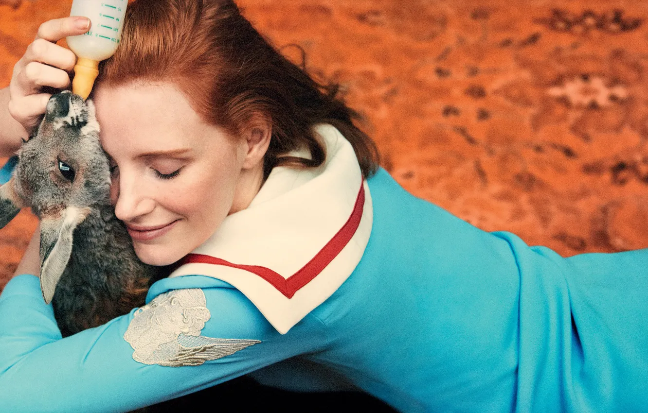 Фото обои девушка, актриса, кенгуру, Джессика Честейн