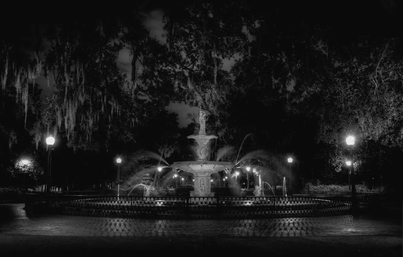 Фото обои небо, вода, свет, деревья, ночь, фонари, саванна, фонтан