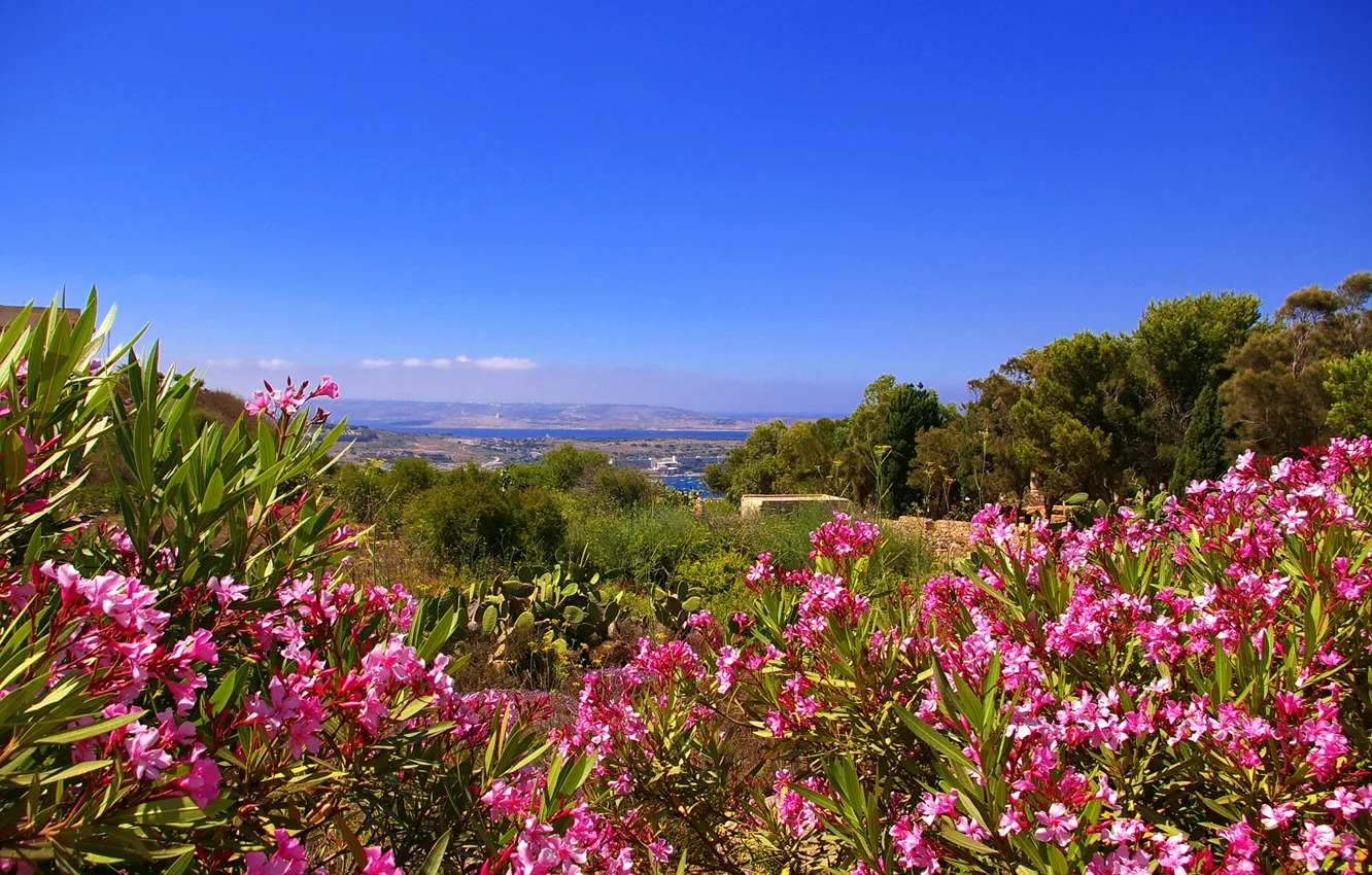 Фото обои небо, цветы, горы, остров, Мальта, Гозо