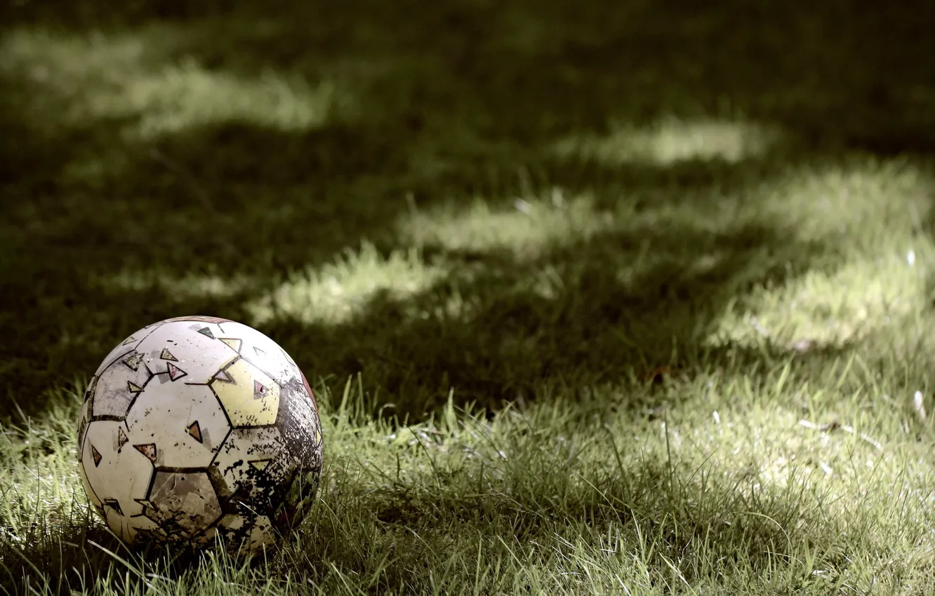 Фото обои трава, спорт, мяч