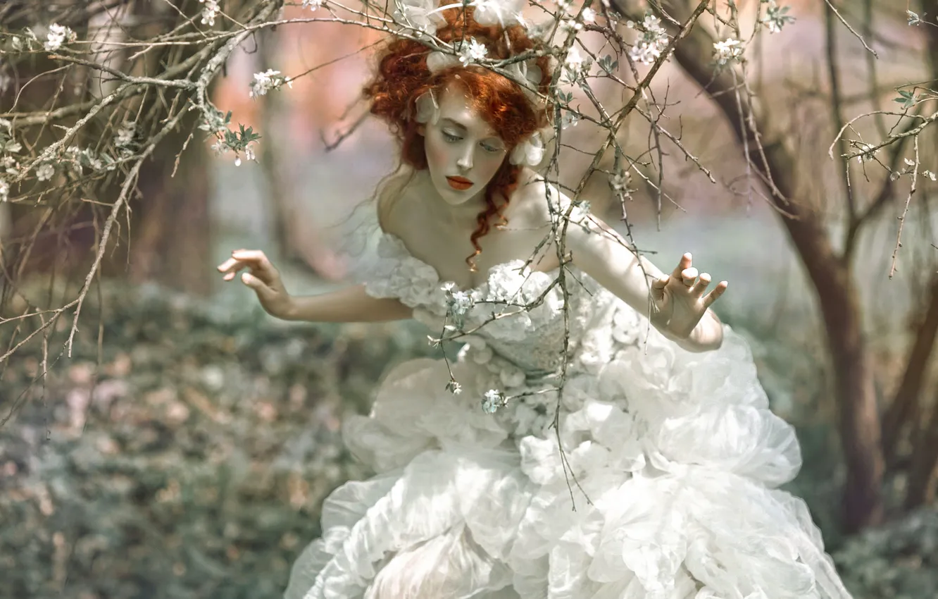 Фото обои лес, девушка, фантазия, арт, Agnieszka Lorek