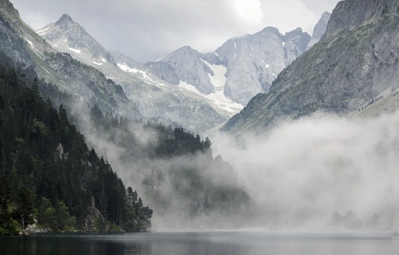 Фото обои лес, природа, туман, озеро, отражение