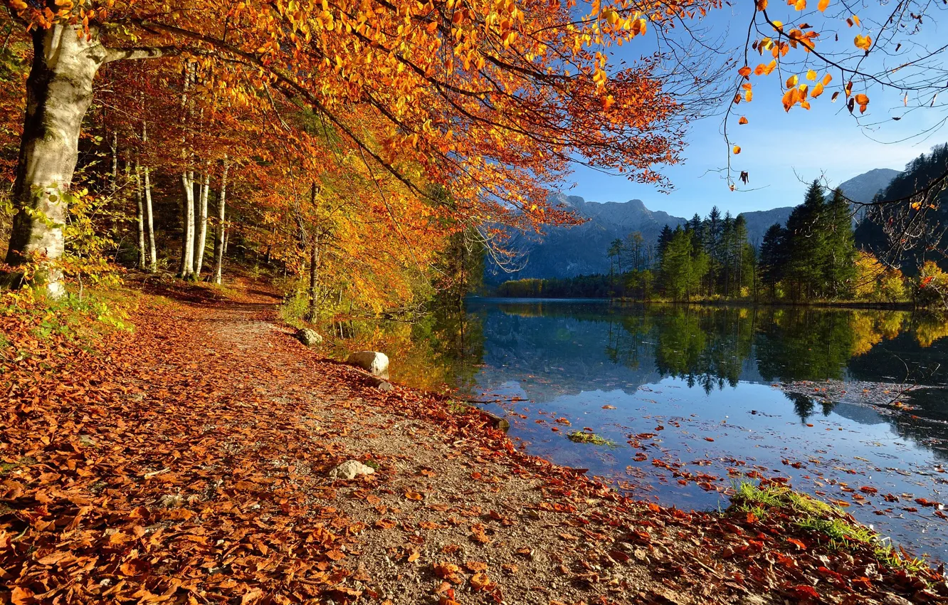 Фото обои осень, деревья, пейзаж, горы, природа, озеро, берег, Австрия