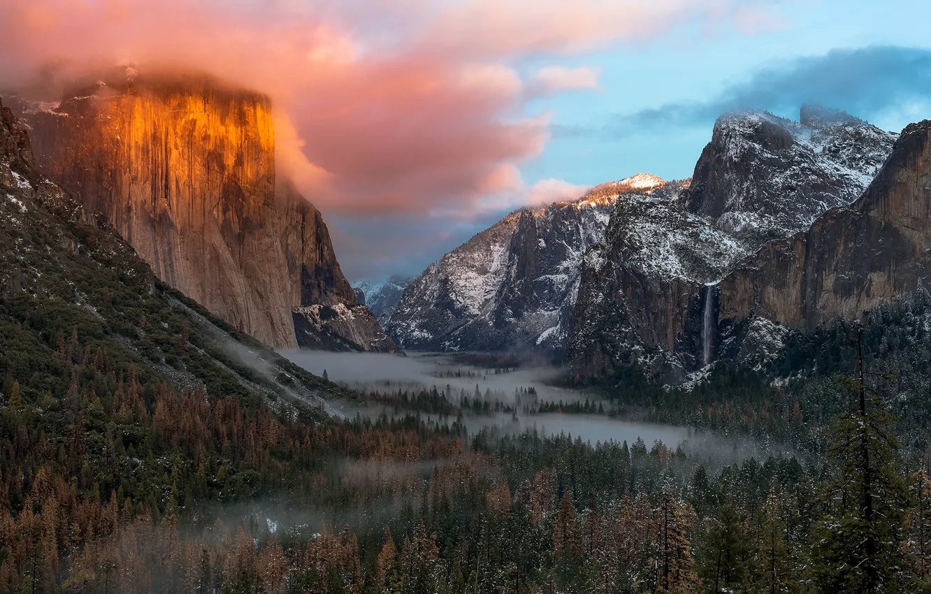 Фото обои лес, небо, облака, свет, горы, долина, Калифорния, США