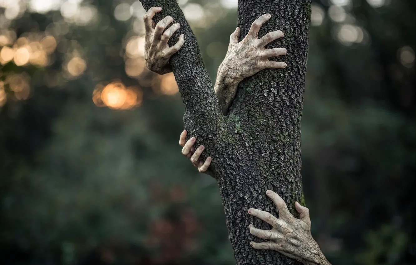 Фото обои фон, дерево, руки