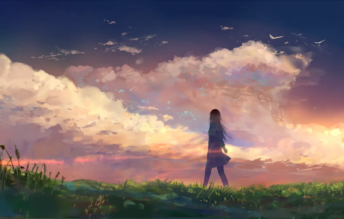 Фото обои небо, трава, девушка, природа