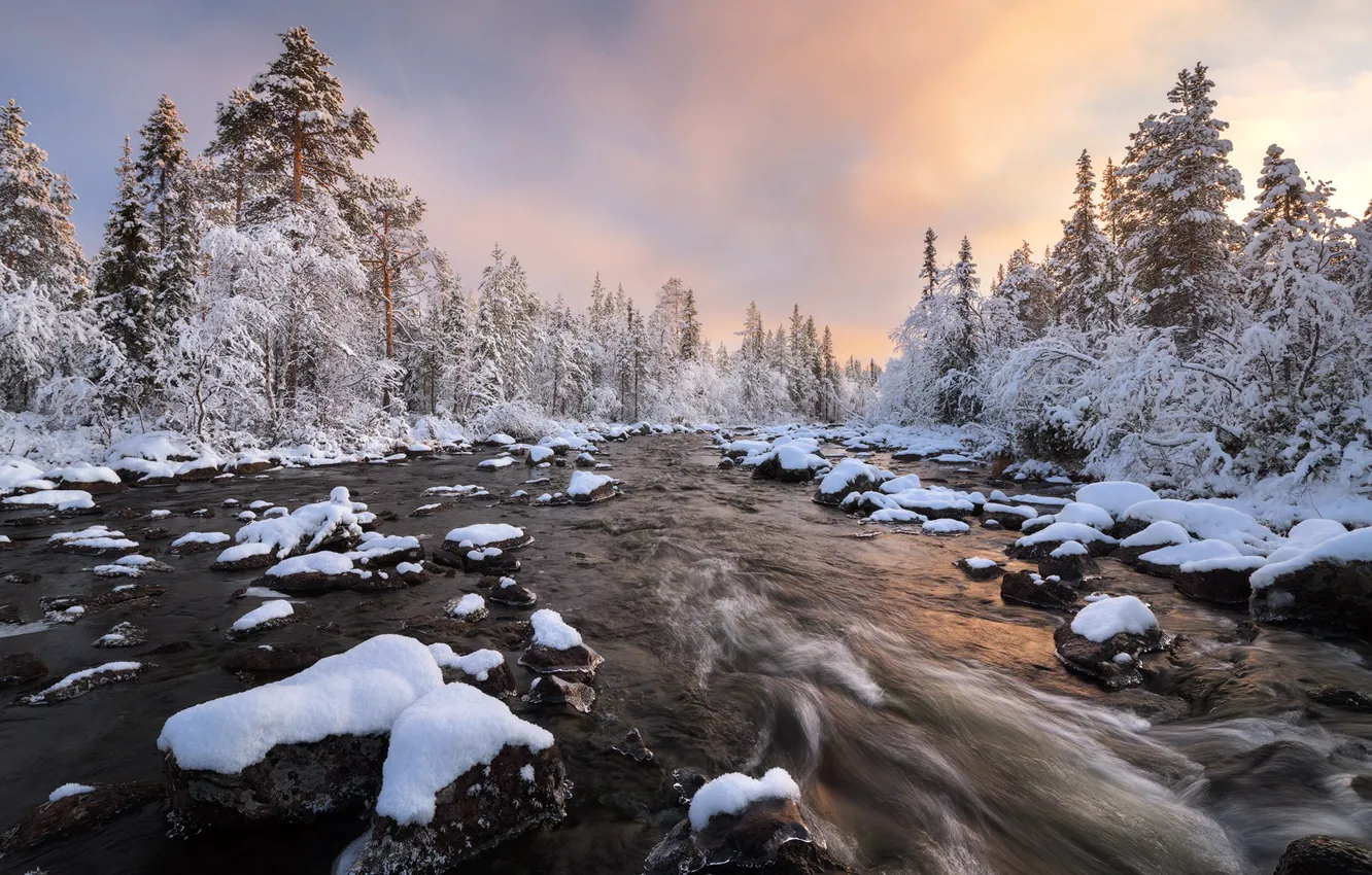 Фото обои зима, лес, снег, река, Россия, Кольский полуостров, Мурманская область, Сергей Королёв