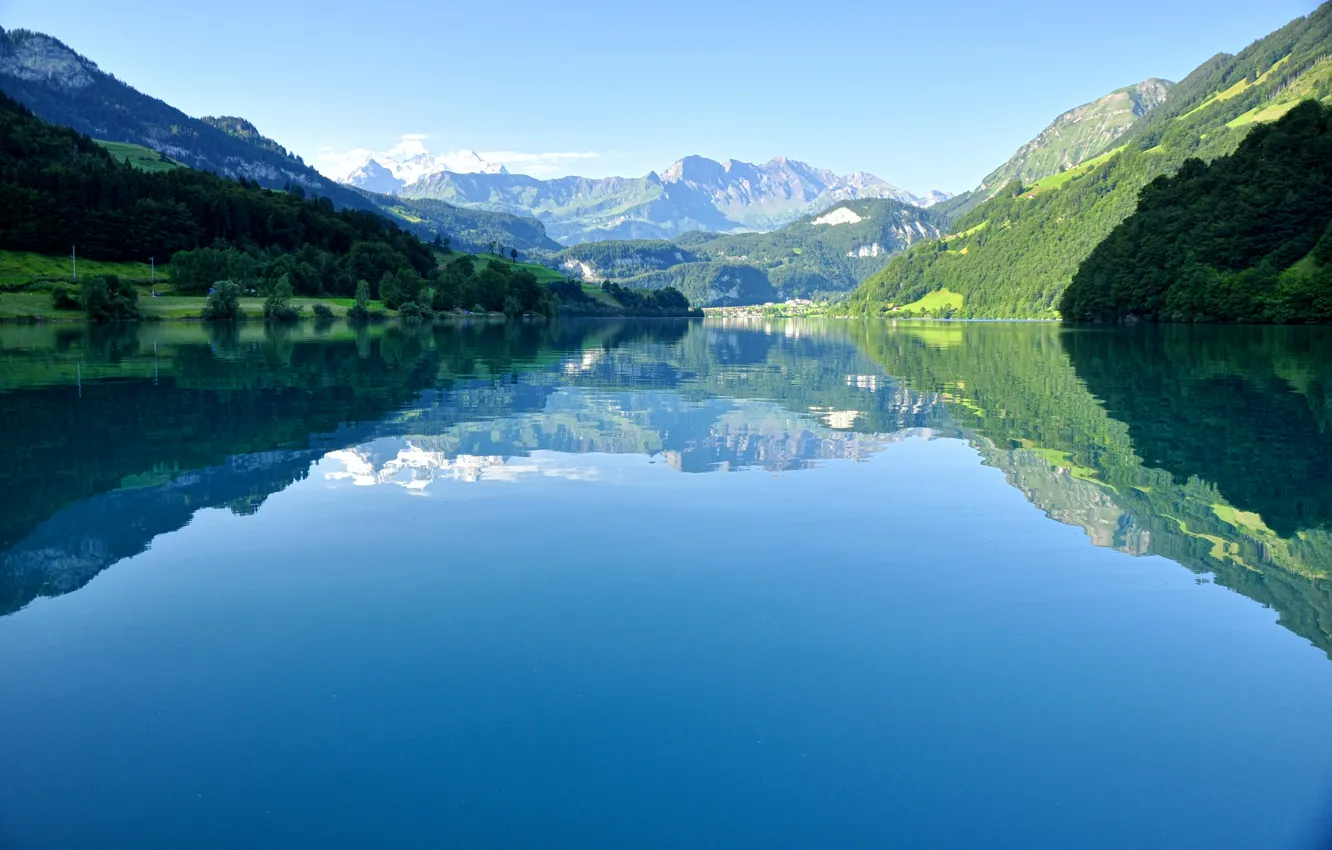 Фото обои лес, небо, деревья, горы, отражение, вершины, Швейцария, Альпы