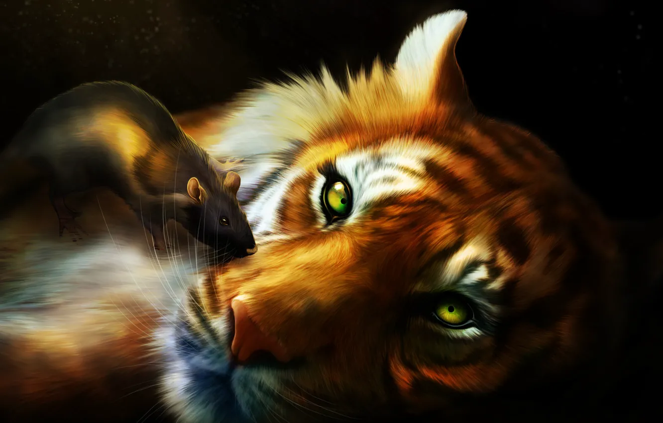 Фото обои тигр, крыса, мыш