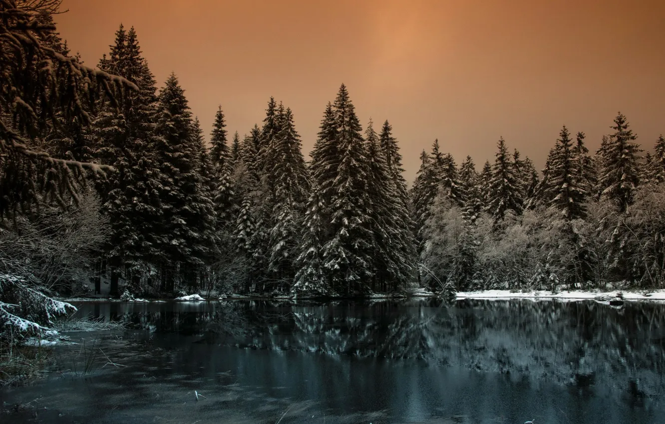 Фото обои лес, ночь, озеро