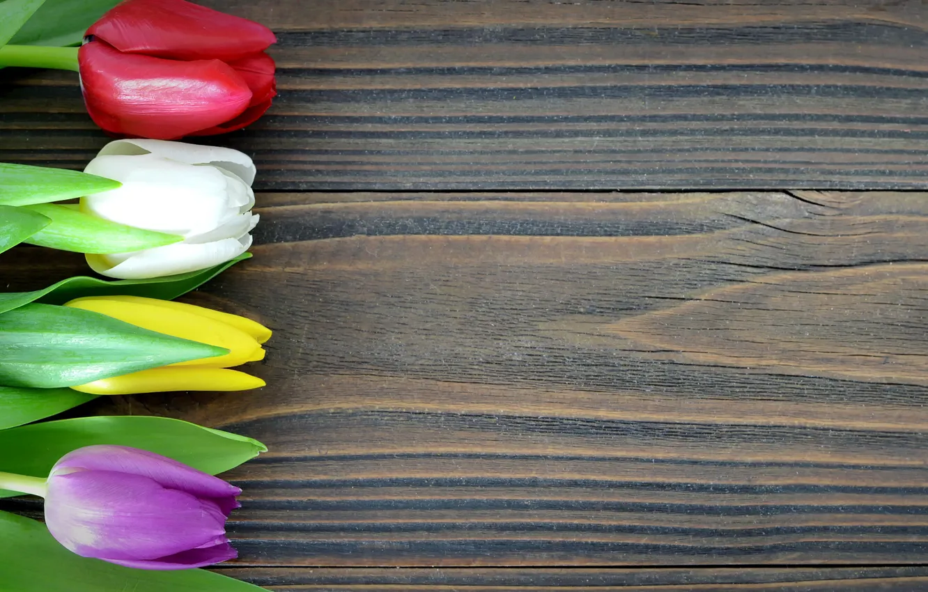 Фото обои цветы, colorful, тюльпаны, wood, romantic, tulips