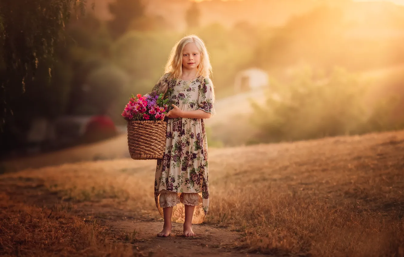 Фото обои цветы, корзина, девочка, Country Girl, Edie Layland, With Flower Basket