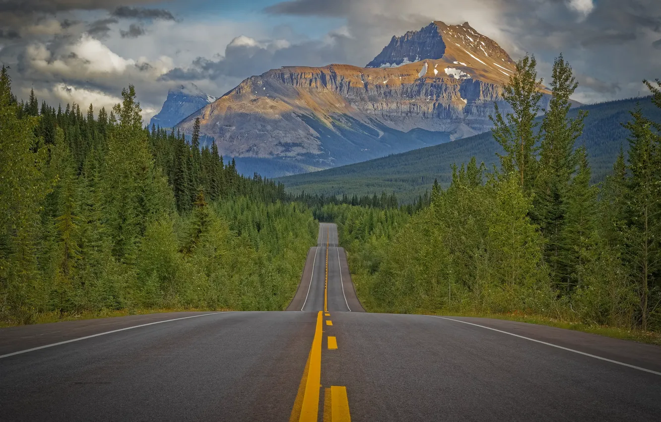 Фото обои дорога, лес, деревья, горы, Канада, Canada, Скалистые горы, Rocky Mountains