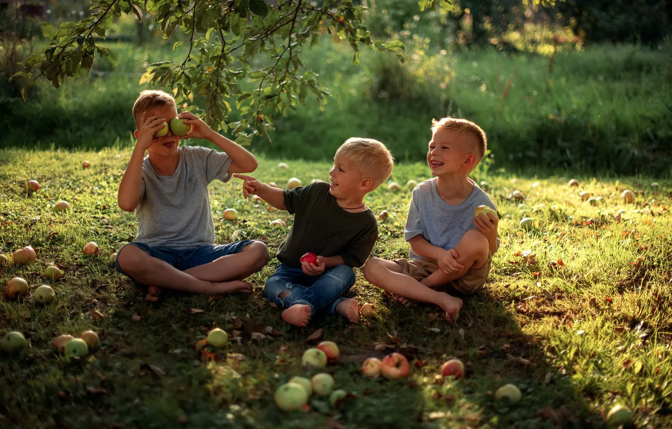 Фото обои лето, радость, счастье, природа, дети, детство, яблоки, мальчики
