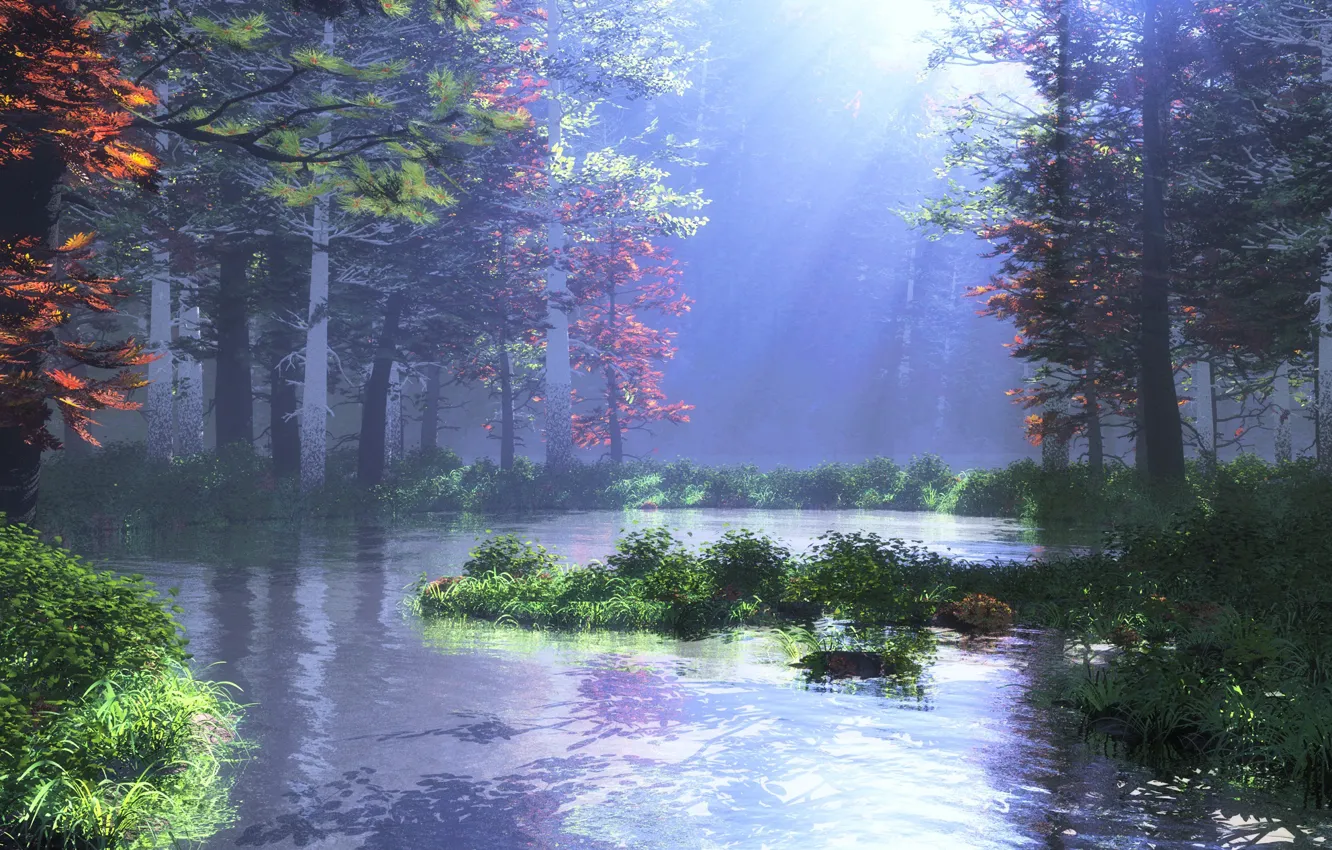 Фото обои лес, природа, растительность, водоём, mountain pond