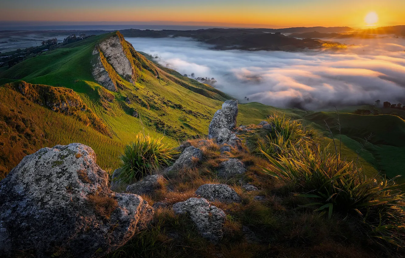 Фото обои горы, туман, восход, рассвет, утро, Новая Зеландия