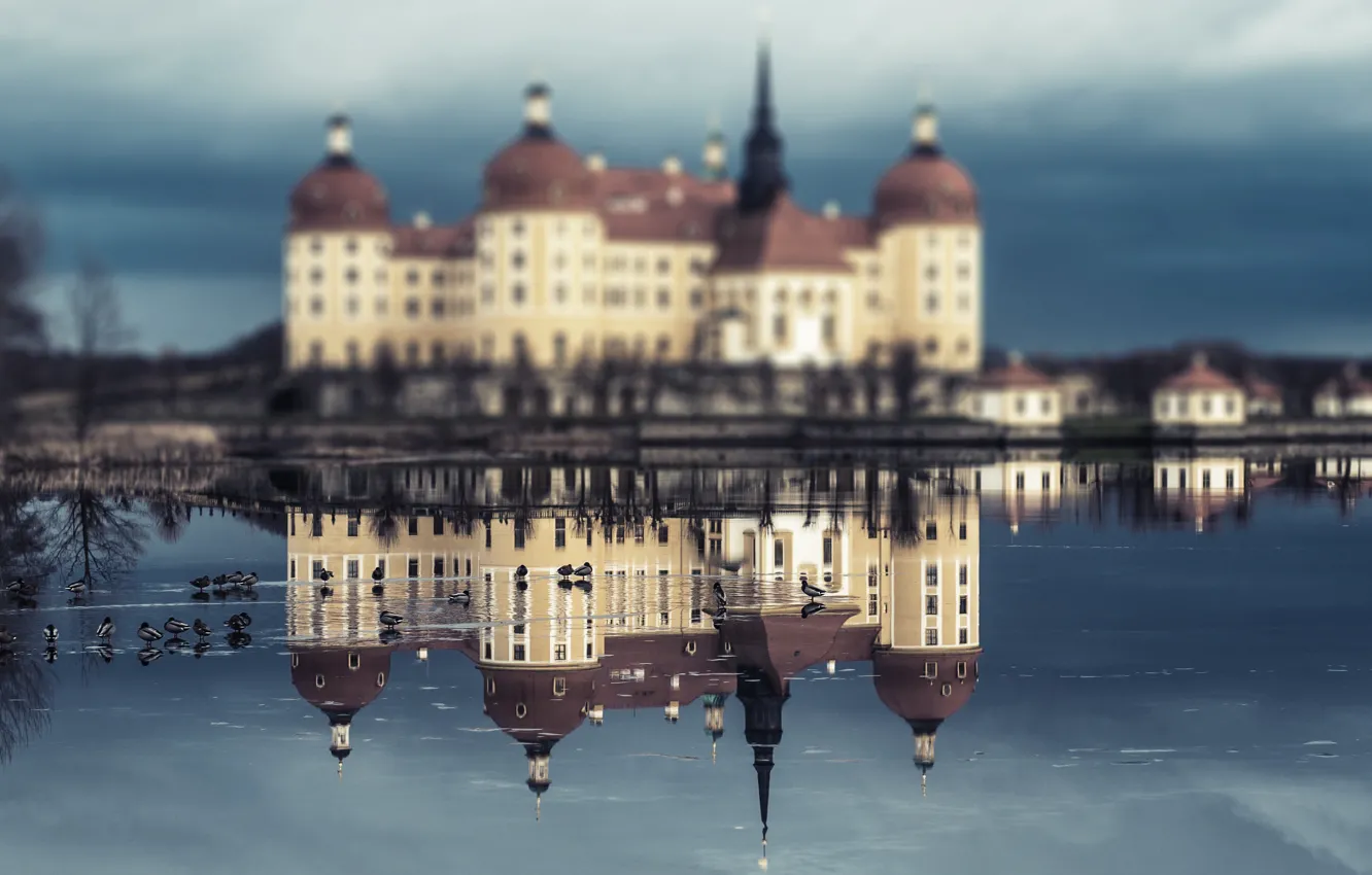 Фото обои отражение, Германия, архитектура, Замок Морицбург, Moritzburg, охотничий замок