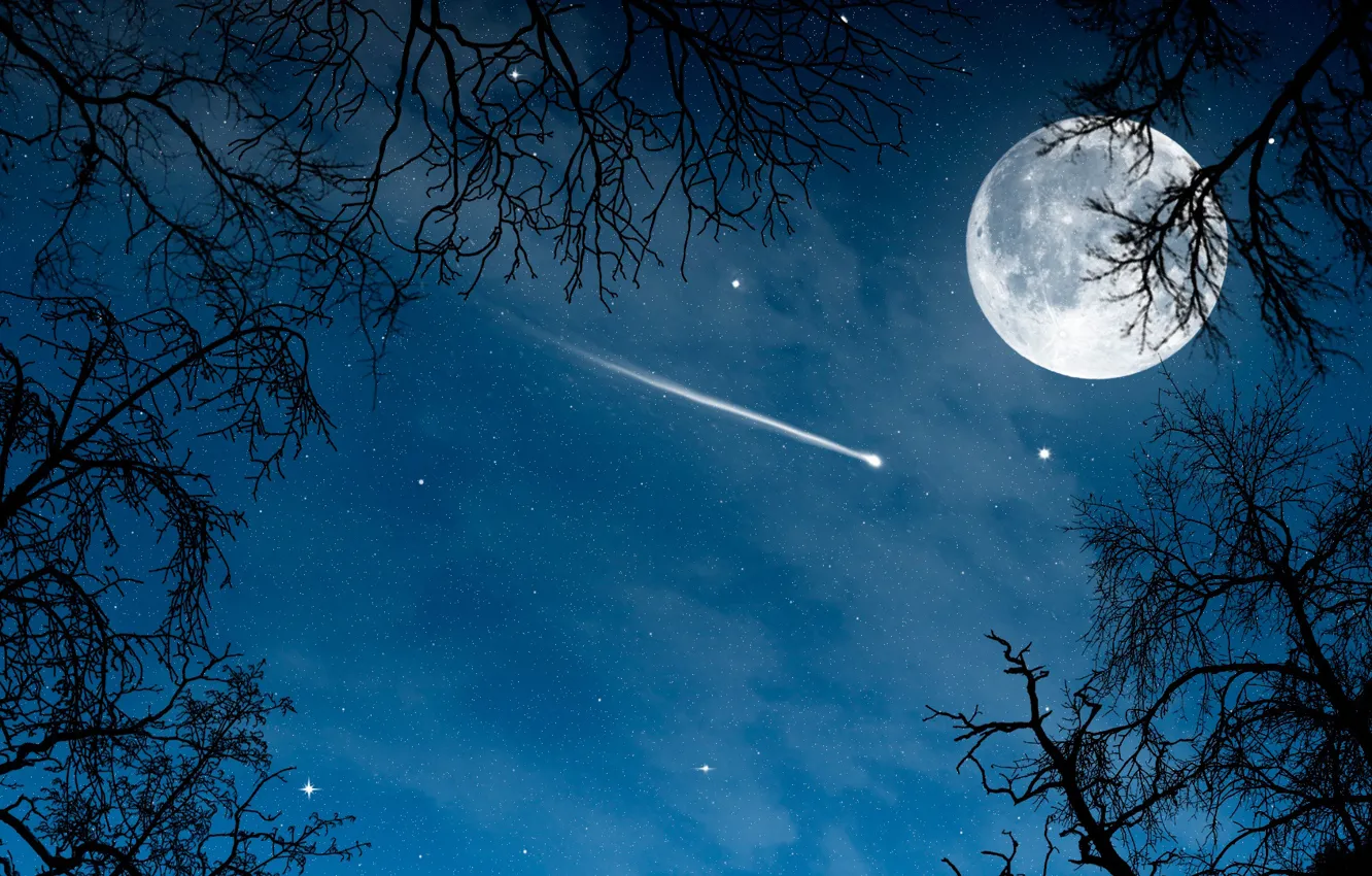 Фото обои ночь, комета, полнолуние, night, full moon, comet