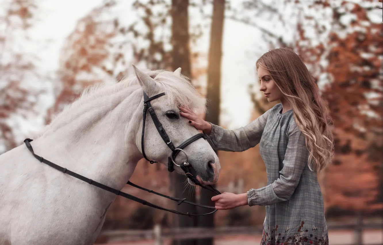 Фото обои девушка, деревья, пруд, парк, лошадь, платье, прическа, белая