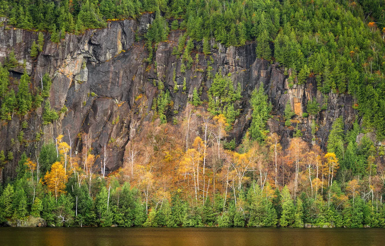 Фото обои деревья, скала, озеро, гора