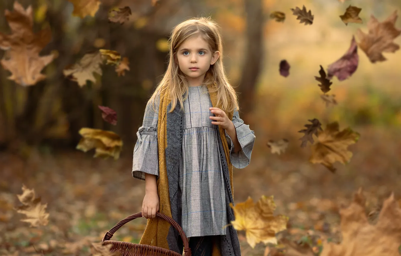 Фото обои осень, листья, девочка, корзинка