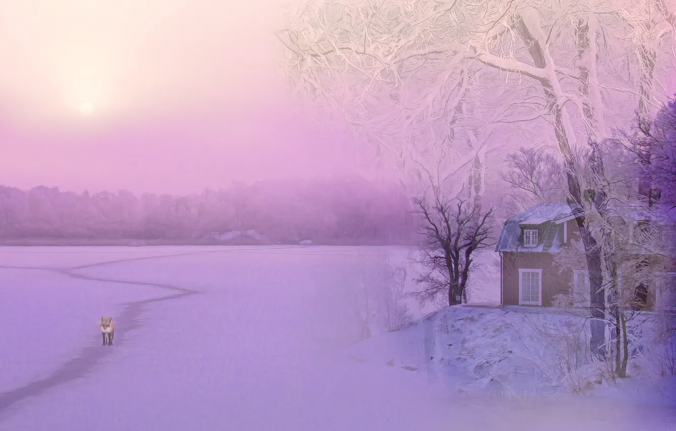 Фото обои зима, небо, снег, деревья, рендеринг, берег, графика, вечер