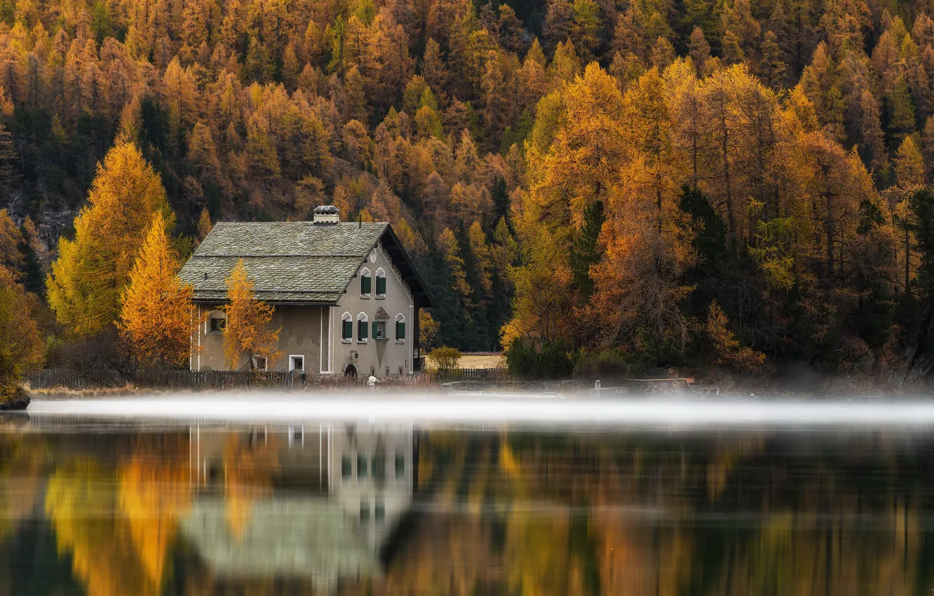 Фото обои осень, туман, озеро, дом