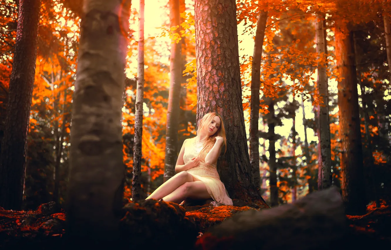 Фото обои осень, лес, девушка, камни, Samantha Meglioli