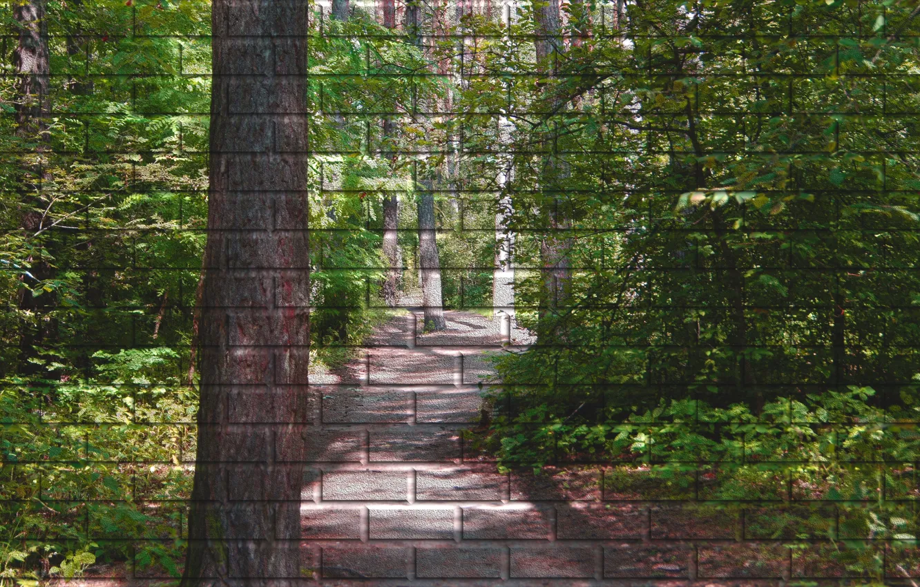 Фото обои лес, лето, зеленый, стена, рисунок, тропа, кирпич, картина