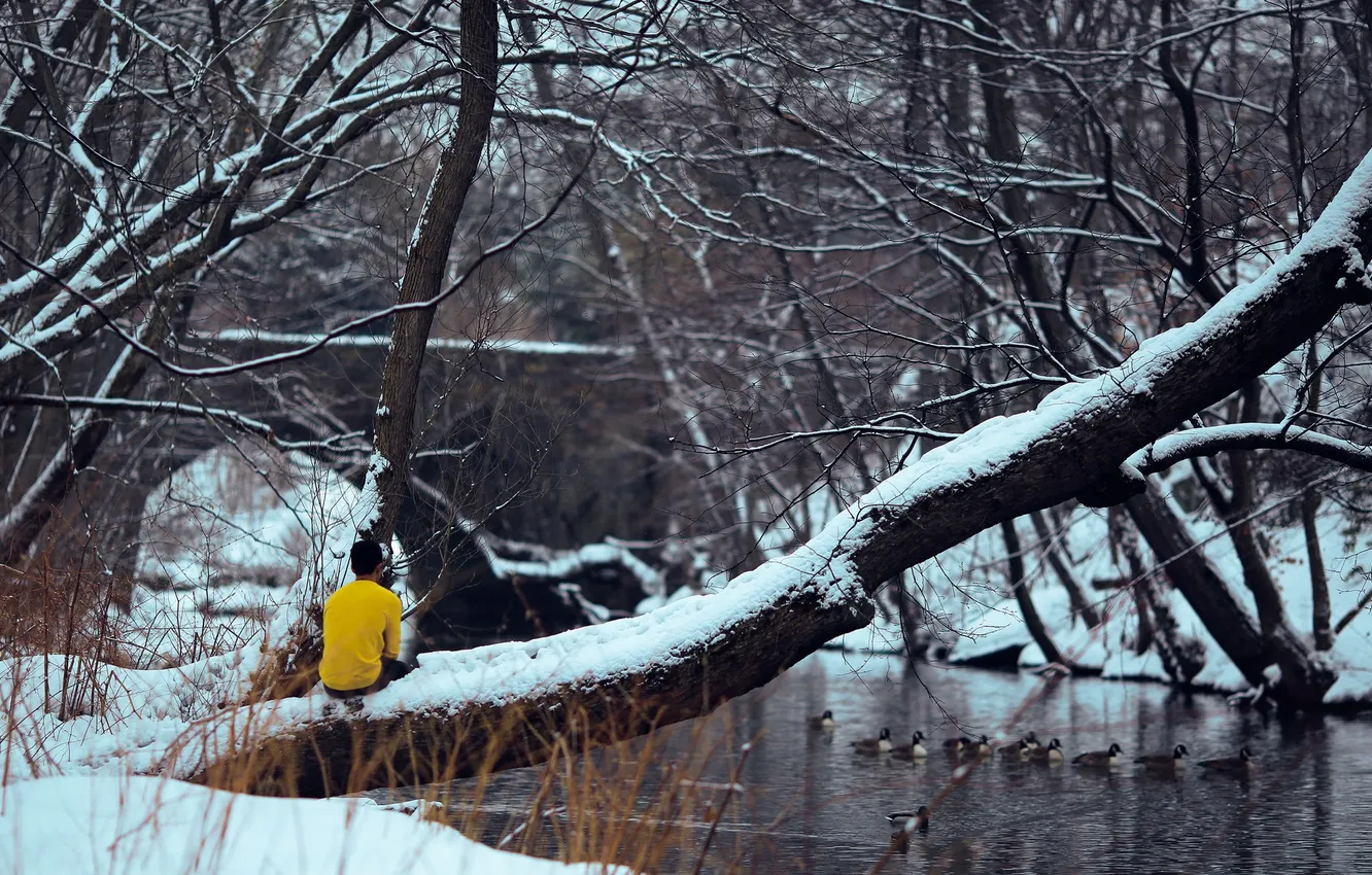 Фото обои river, trees, bridge, winter, snow, man, back, branches