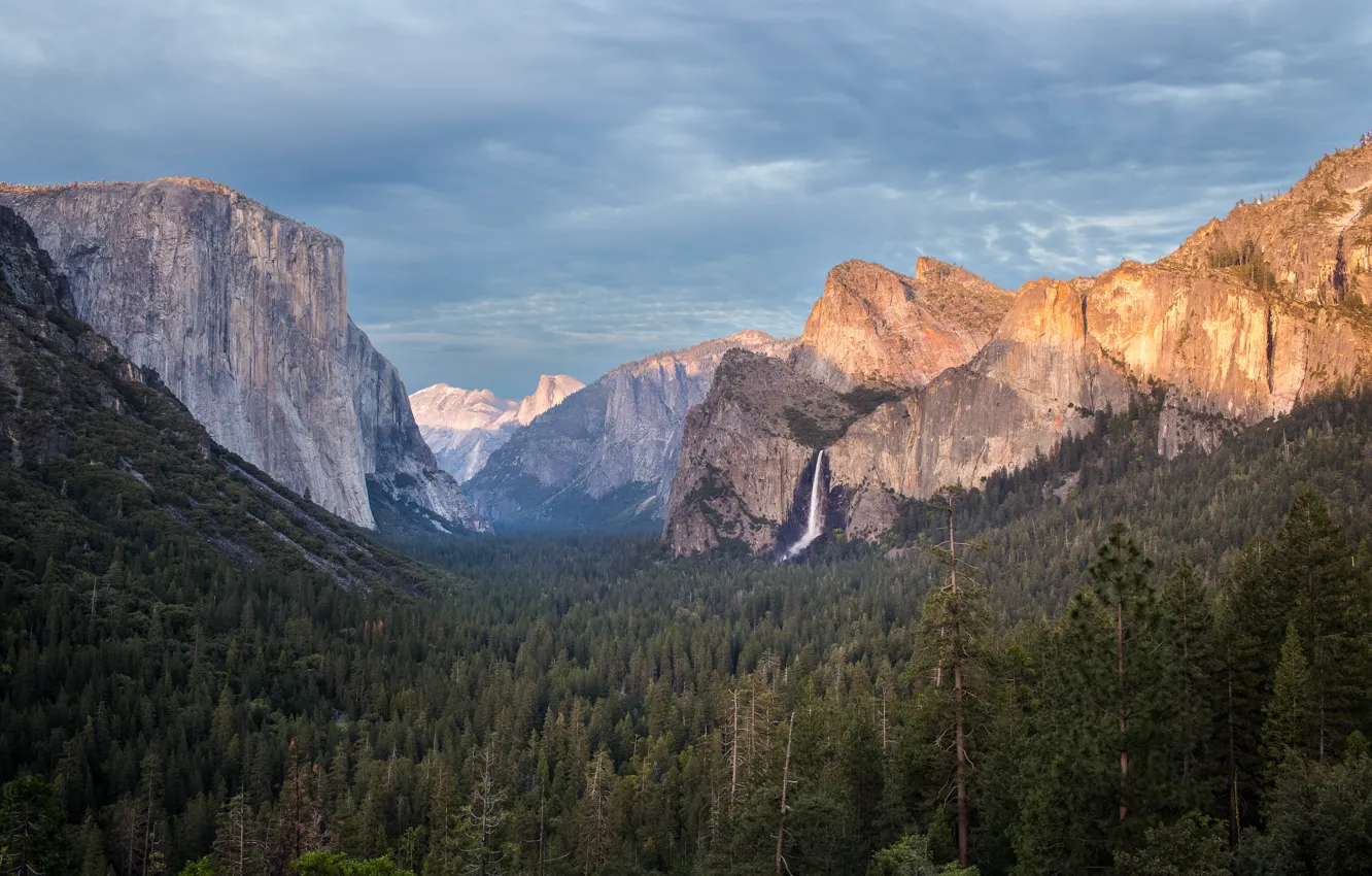 Фото обои лес, горы, национальный парк, Yosemite National Park, Burning Edges
