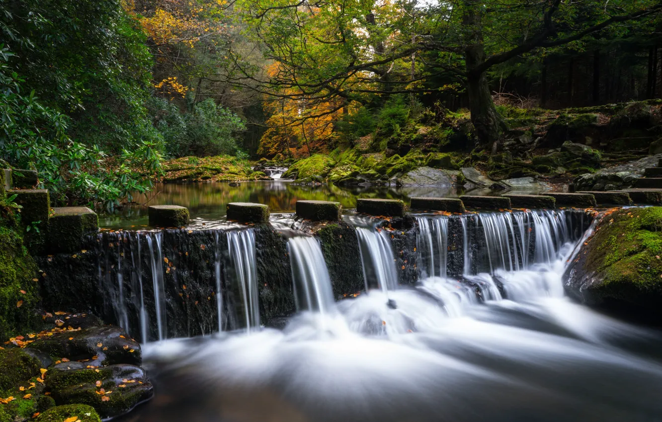 Фото обои осень, лес, деревья, природа, водопад, поток