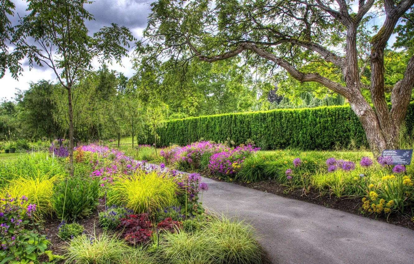 Фото обои зелень, деревья, цветы, сад, Канада, дорожка, клумбы, Vancouver
