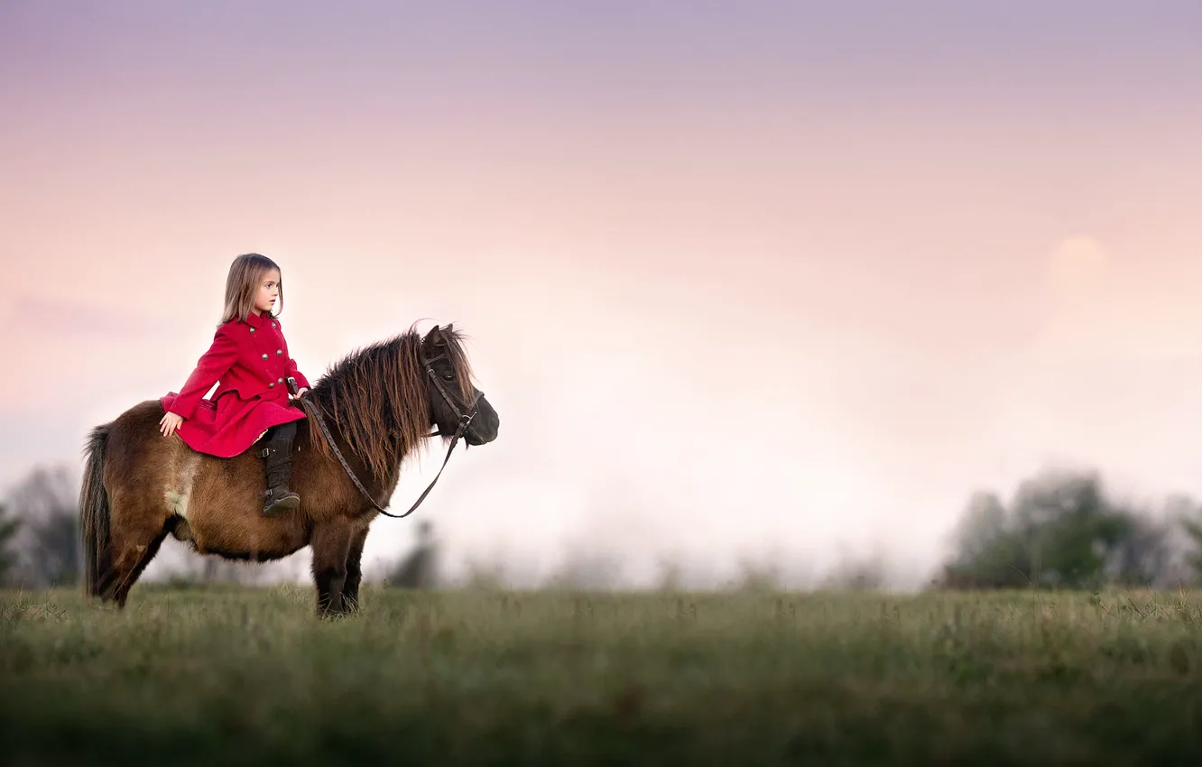 Фото обои девочка, пони, Watchful