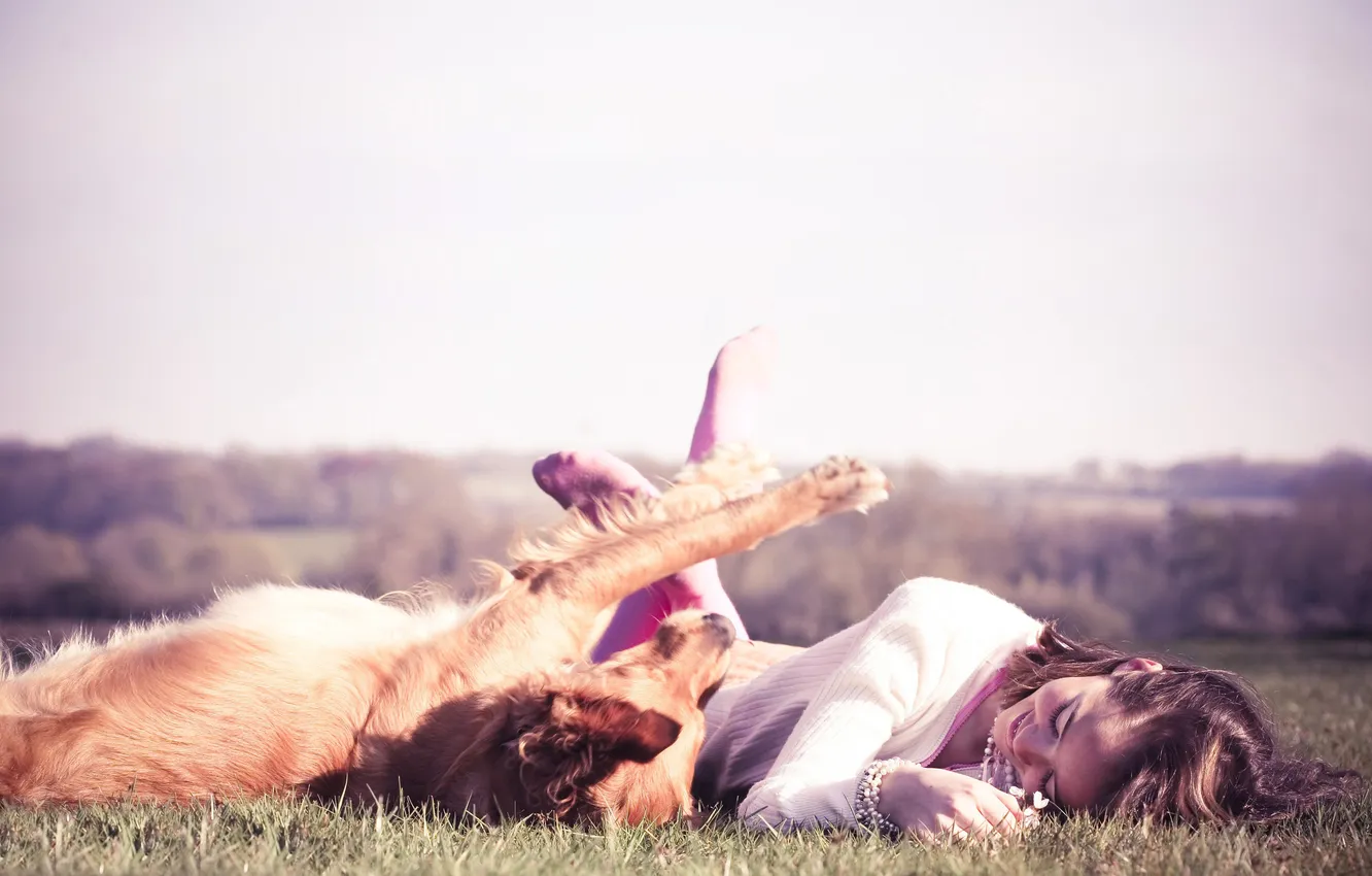 Фото обои лето, трава, девушка, радость, игра, собака