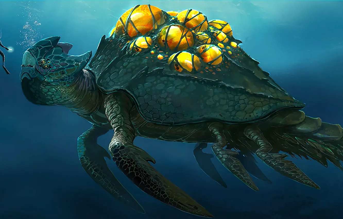 Фото обои черепаха, аквалангист, под водой