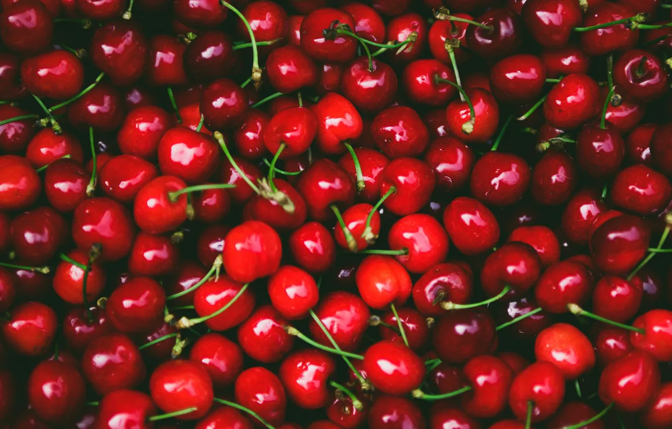 Фото обои вишня, ягоды, темный фон, красные, много, черешня