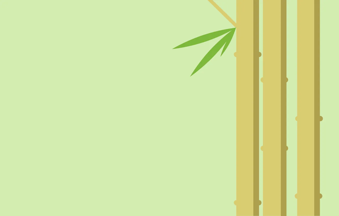Фото обои листья, растение, бамбук, стебель