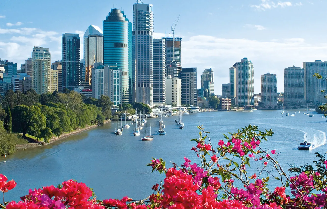 Фото обои город, парк, яхты, небоскребы, Австралия, Брисбен