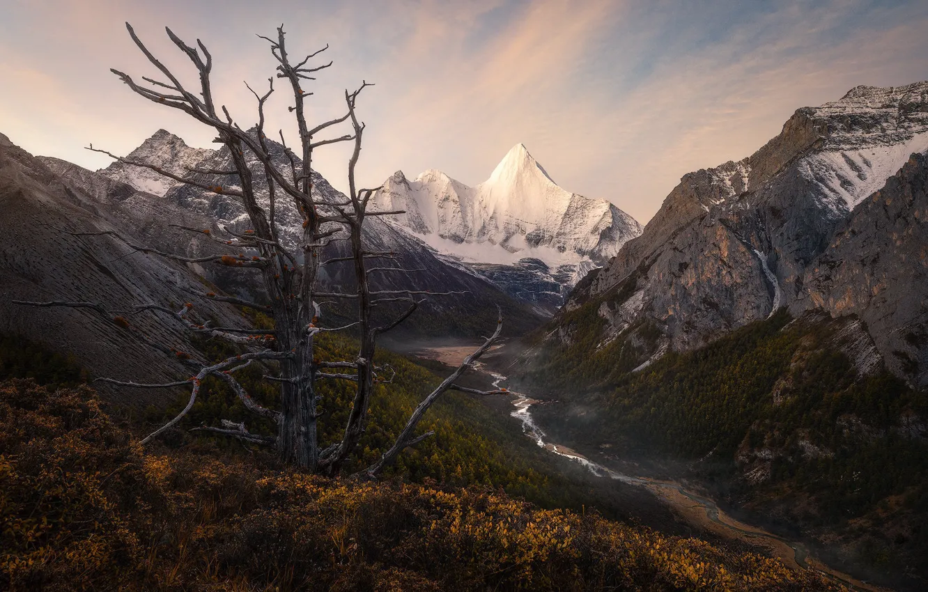 Фото обои осень, трава, снег, деревья, горы, река, склоны, вершины