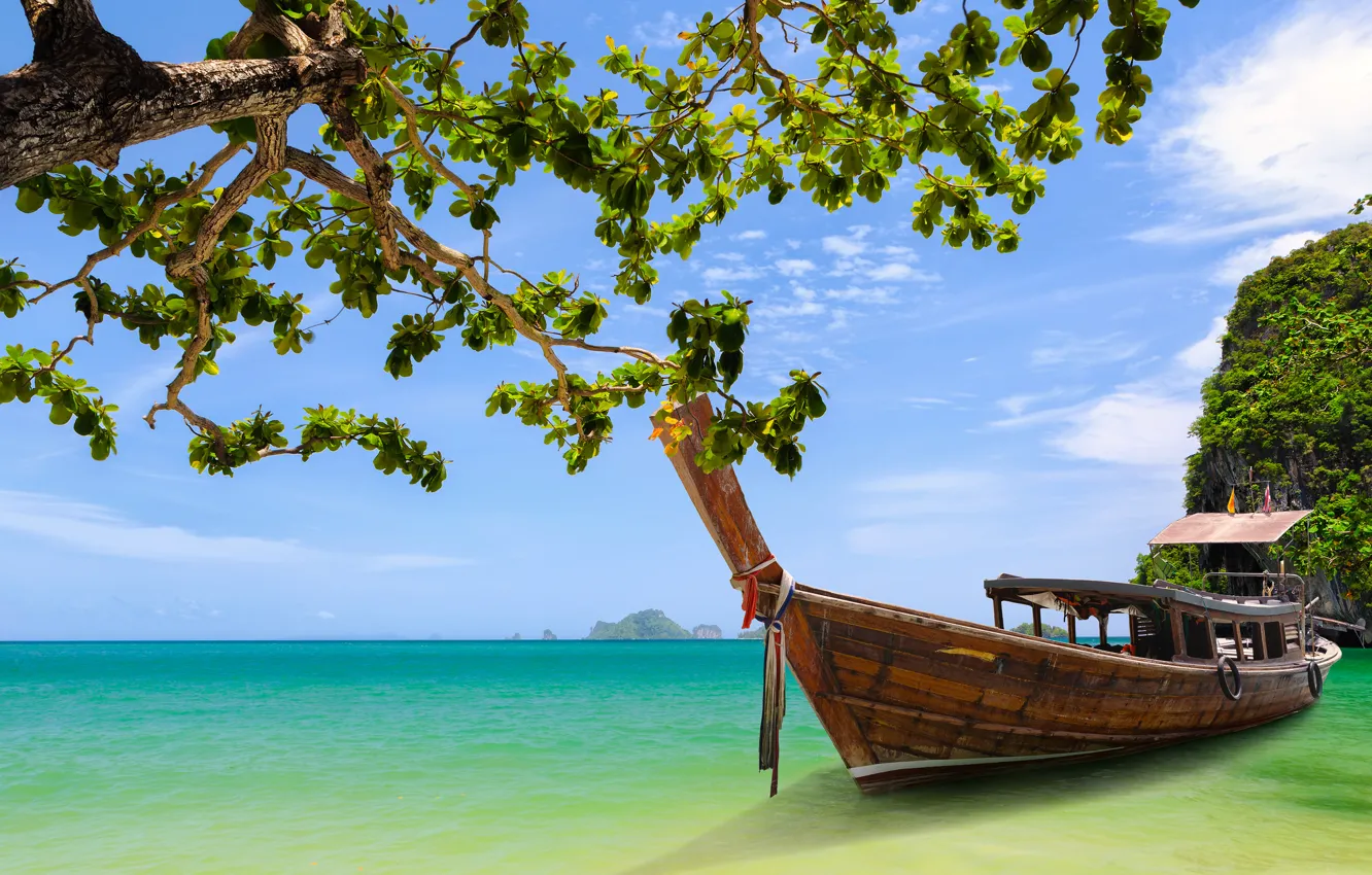 Фото обои дерево, лодка, Таиланд, Thailand, Краби, Phang Nga Bay, залив Пхангнга, Krabi