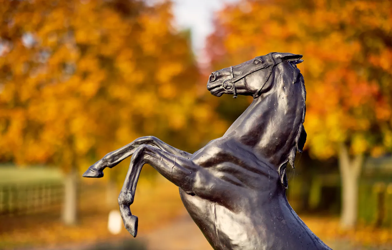 Фото обои Лошадь, Статуя, Великобритания, United Kingdom, Statue, Thoroughbred horse breeding farm, Newmarket, Ферма по разведению чистокровных …