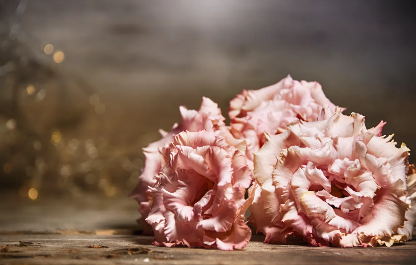 Фото обои цветы, стол, розовые, эустома, Morganval