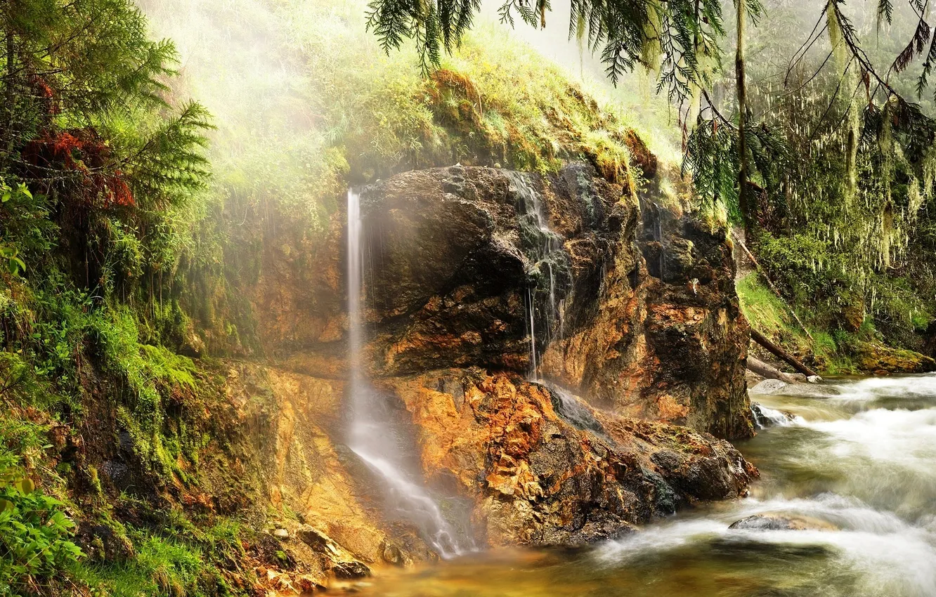 Фото обои лес, река, камни, водопад, деревья.