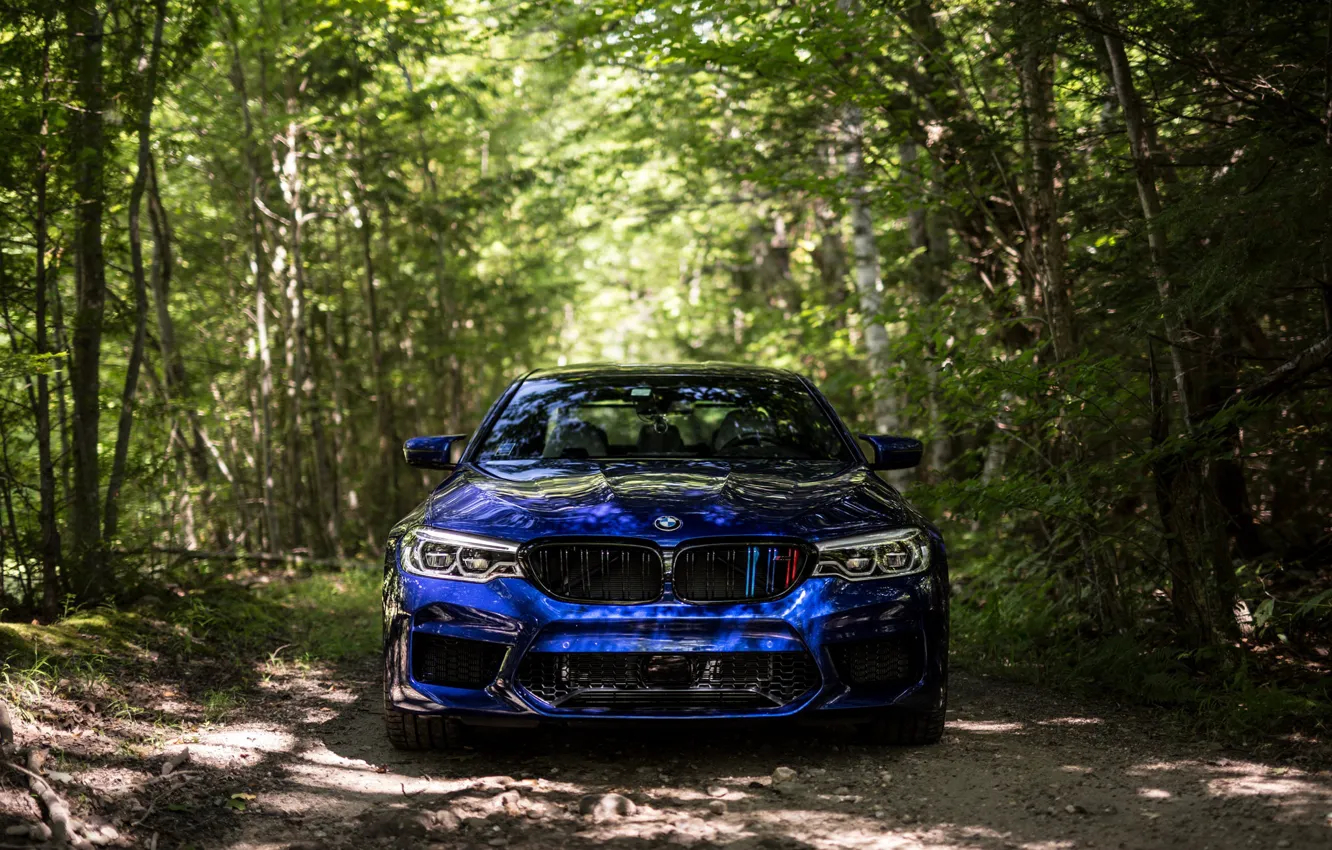 Фото обои BMW, Blue, Front, Forest, Sight, F90