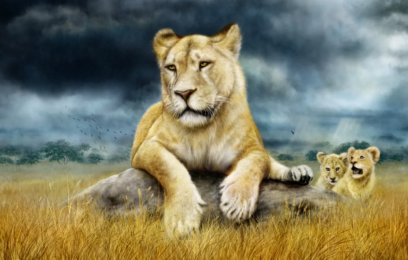 Фото обои семья, саванна, львята, львица