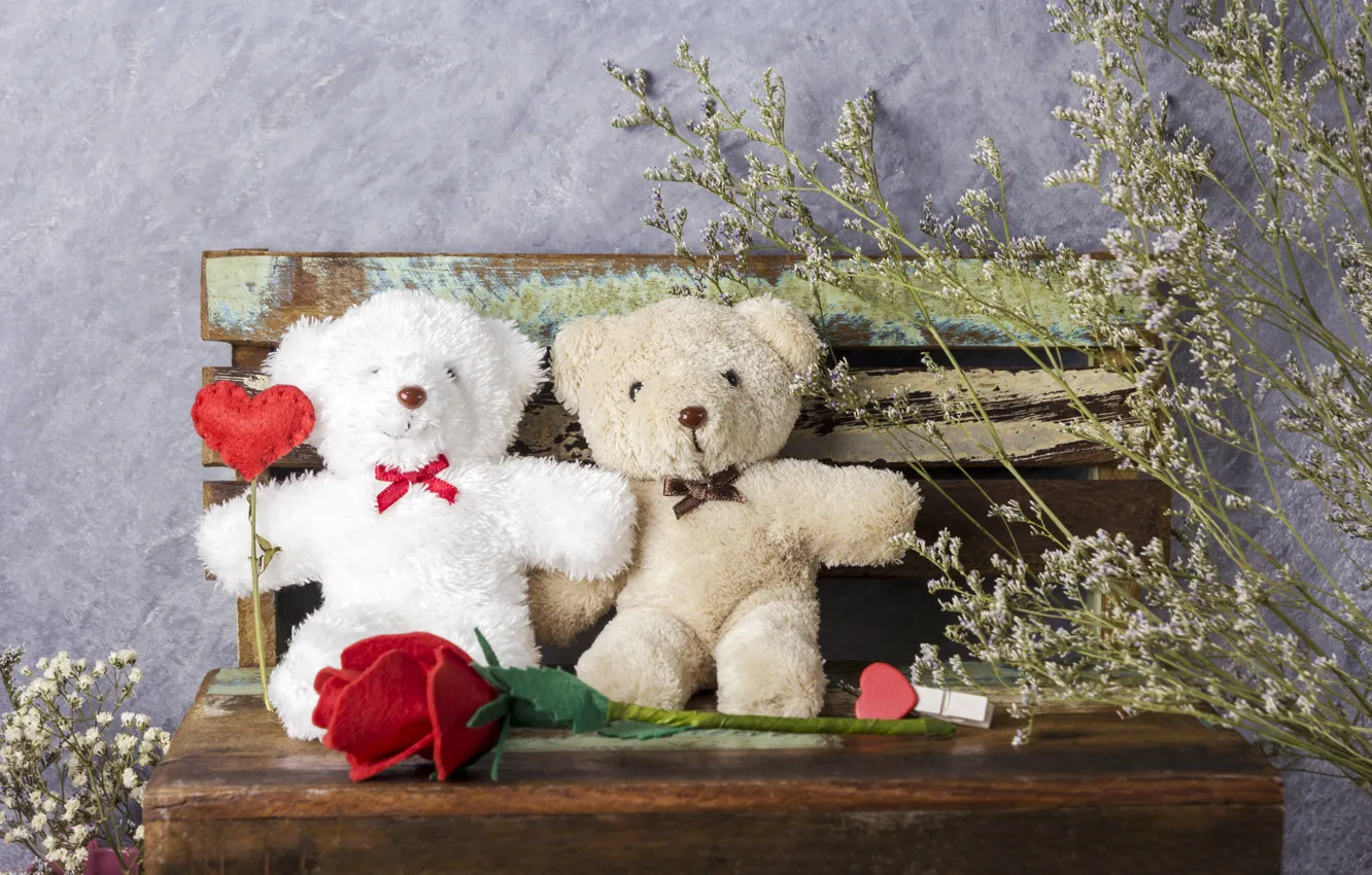 Фото обои любовь, цветы, подарок, игрушка, сердце, розы, мишка, red