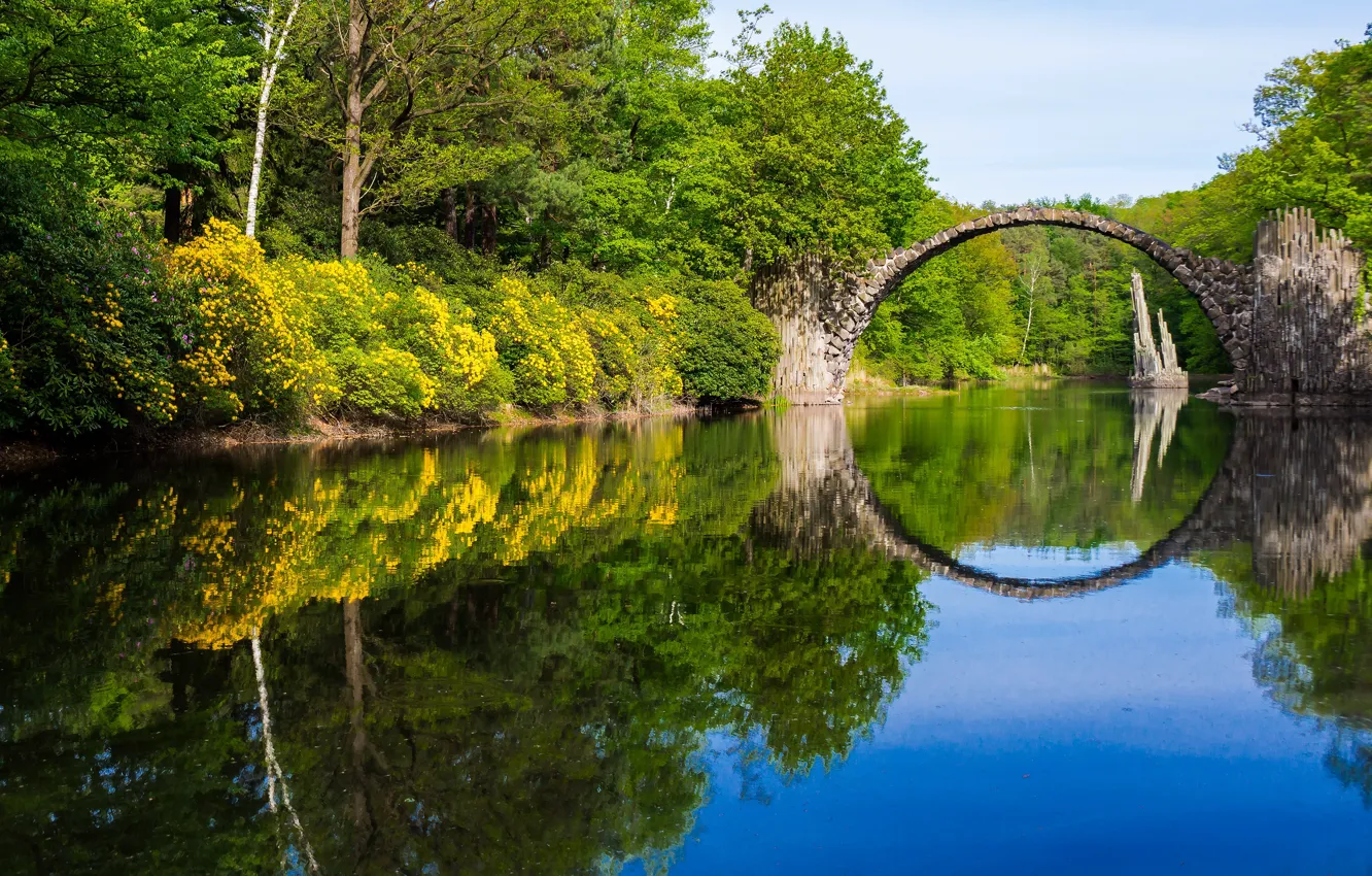 Фото обои лес, деревья, цветы, мост, озеро, отражение, берег, желтые