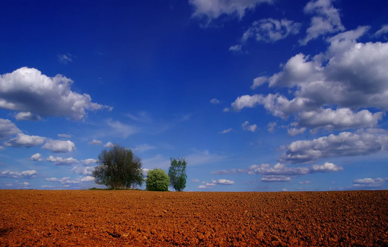 Фото обои облака, деревья, Поле
