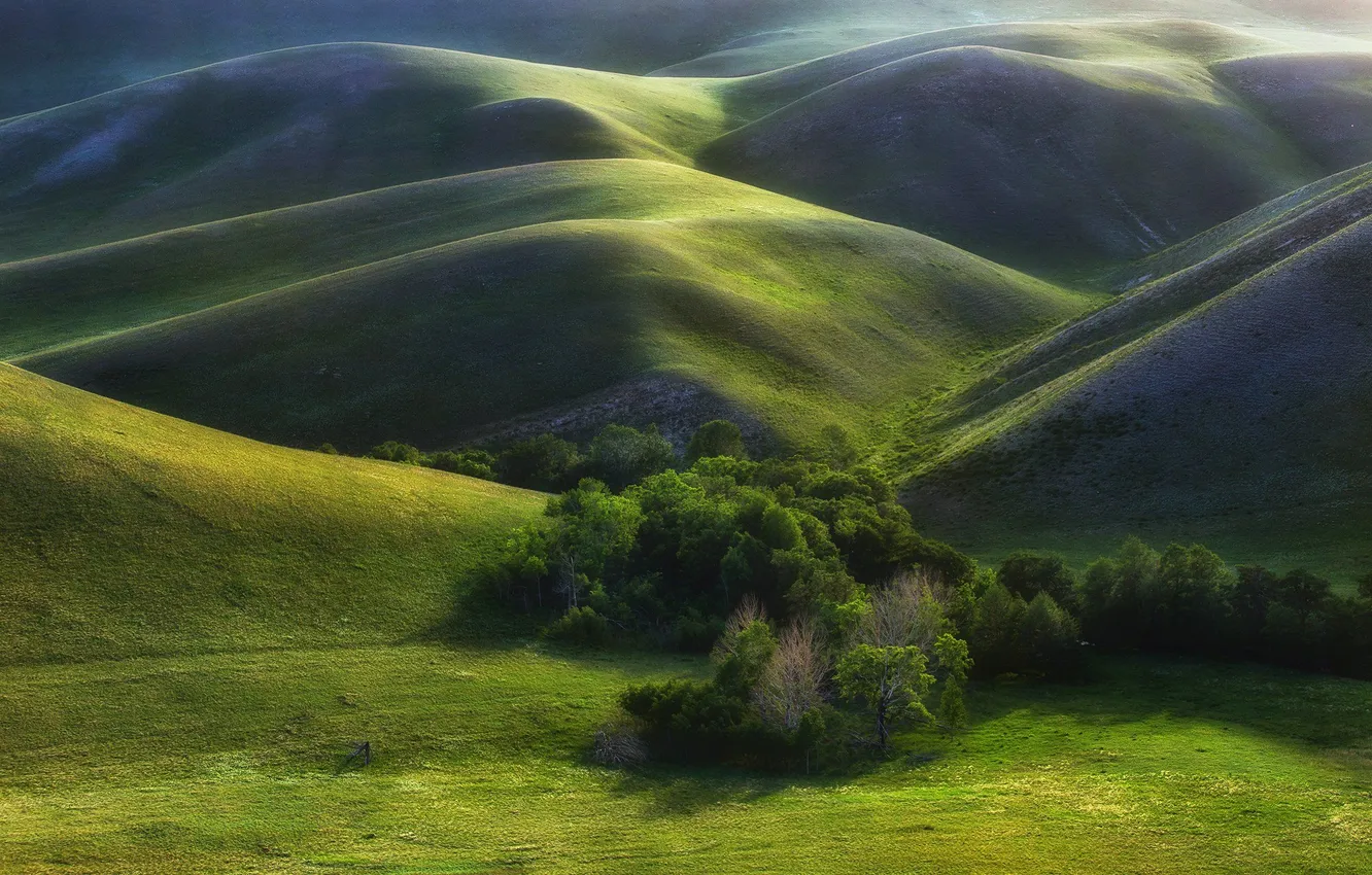 Фото обои grass, trees, landscape, hills